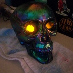 Handmade ultrasonic skull w/ Led lights